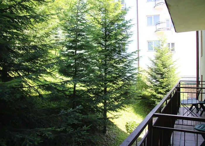 Domy Wczasowe Tryumfy Bed & Breakfast