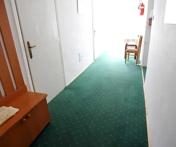 Domy Wczasowe Tryumfy Bed & Breakfast Krynica Zdroj