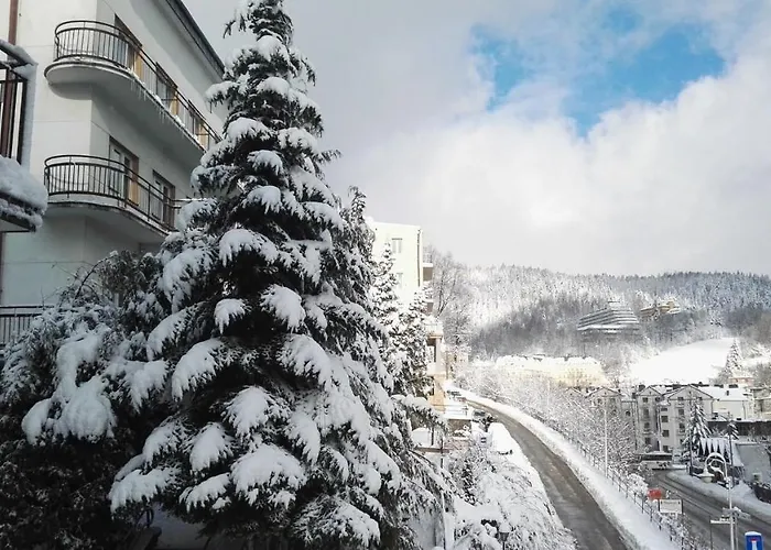 Domy Wczasowe Tryumfy Bed & Breakfast Krynica Zdroj