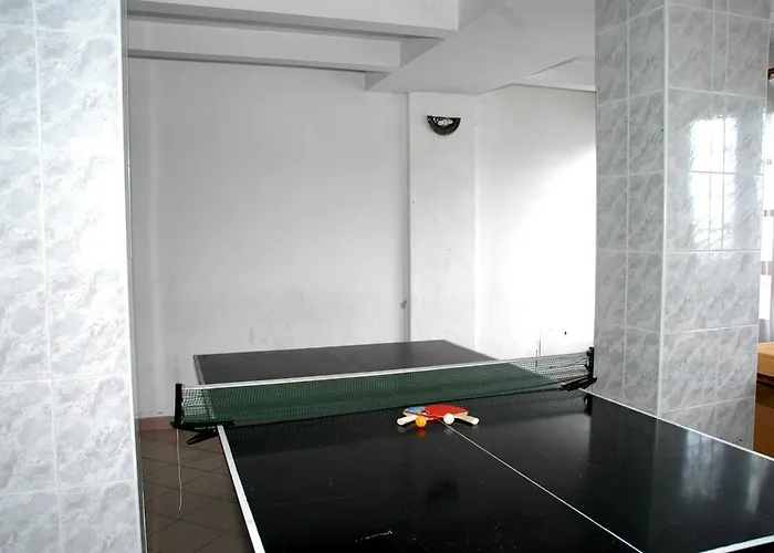 Domy Wczasowe Tryumfy Bed & Breakfast Krynica Zdroj